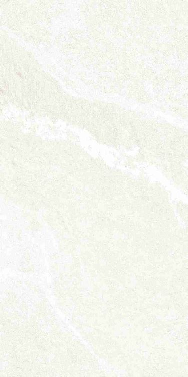 Dhara White Matte 12 x 24